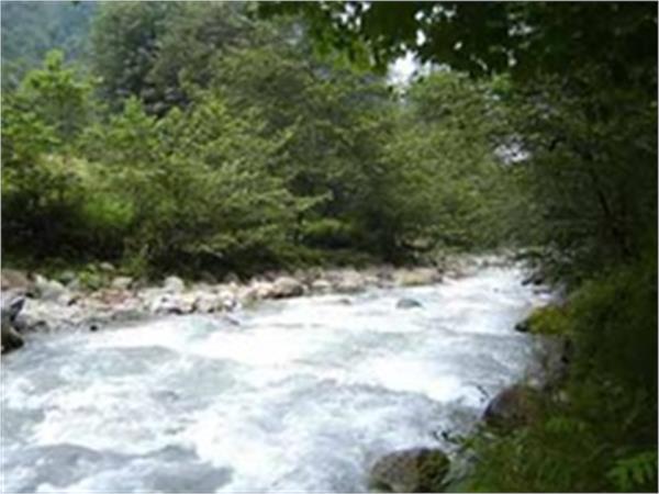 تهرانی‌ها هرثانیه 4برابر جریان رودخانه کرج آب مصرف می‌کنند