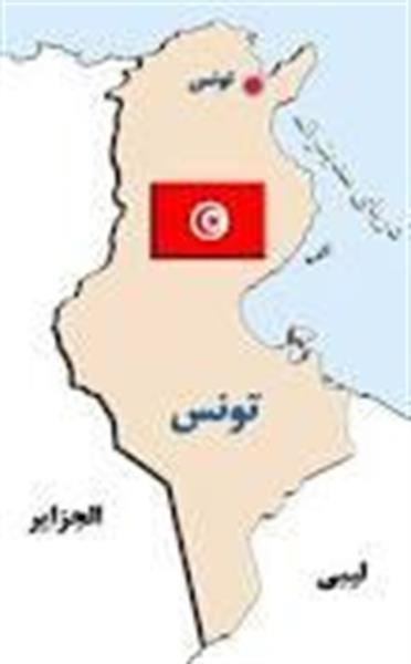افق های جدید مشارکت و سرمایه گذاری بخش خصوصی ایران در تونس ترسیم شد