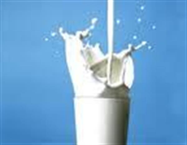 برنامه جدید صنعت پتروشیمی برای تولید شیر و ماست ارزان