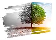 Innovation accelerates drive to sustainability