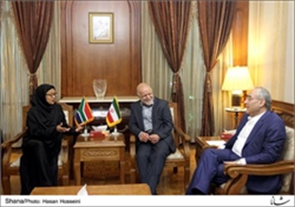 تمایل ایران و آفریقای جنوبی برای گسترش همکاریهای نفتی