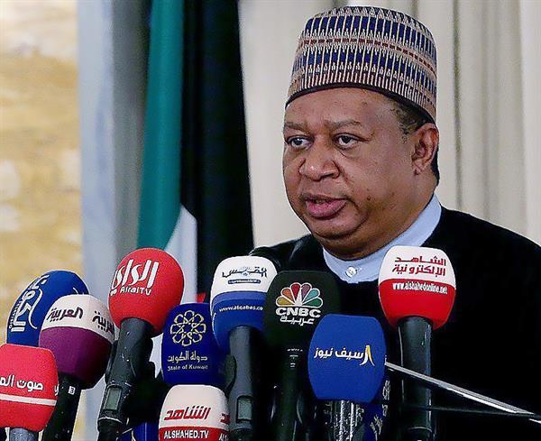OPEC Boss Urges Oil-and-Gas Projects