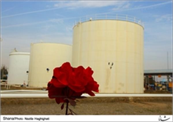 ٥٥٠٠ متر مربع انبارهای نفت کردستان فضای سبز است