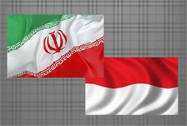 مذاکره مقامات ایران و اندونزی برای توسعه همکاری در صنعت نفت و گاز