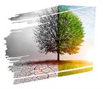 Innovation accelerates drive to sustainability
