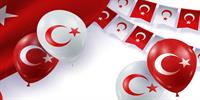 اردوغان و رویای ترکیه برای هاب انرژی منطقه