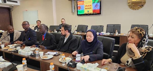 گزارش تصویری از هیئت تجاری از کشور نیجر 3