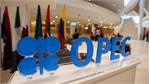 OPEC+ producers reaffirm commitment to market stability, maintain voluntary output curbs