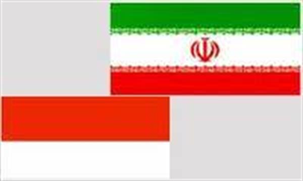 نهاوندیان:‌ نفت، گاز و پتروشیمی،زمینه های مساعد همکاری تجاری ایران و اندونزی است