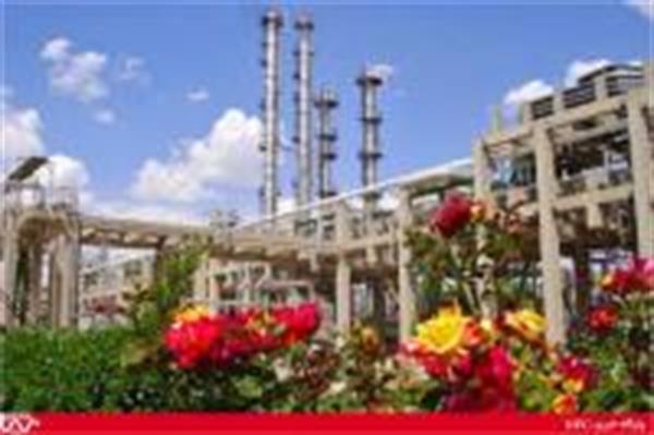 فاز اول واحد کامپاندگ پتروشیمی مارون در آستانه رسیدن به ظرفیت کامل تولید