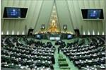 حضور مدیرعامل شرکت ملی صنایع پتروشیمی در کمیسیون صنایع مجلس