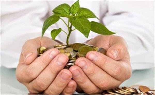 استفاده از ابزارهای نوین مالی در امر توسعه پتروشیمی کلید می خورد