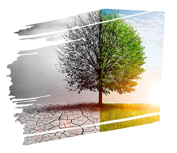 Innovation accelerates drive to sustainability