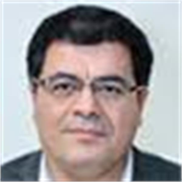 جذب سرمایه گذار در صنعت پتروشیمی