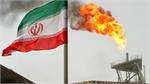 کارنامه نفتی دولت یازدهم؛از جهش تولیدنفت و گاز تا ارتقای جایگاه جهانی