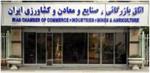 استقبال بخش خصوصی از مسؤولیت جدید نهاوندیان