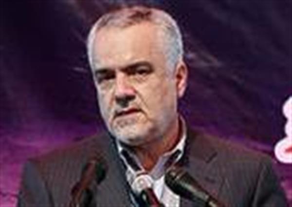 بخش خصوصی‌ دولت را در توسعه صنایع پایین‌دستی پتروشیمی یاری دهد