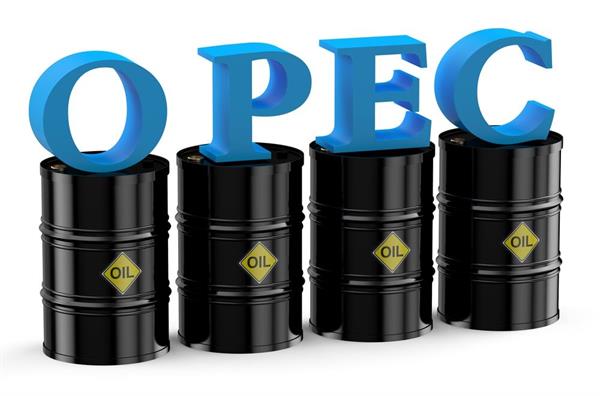 Opec blamed for high petrol prices