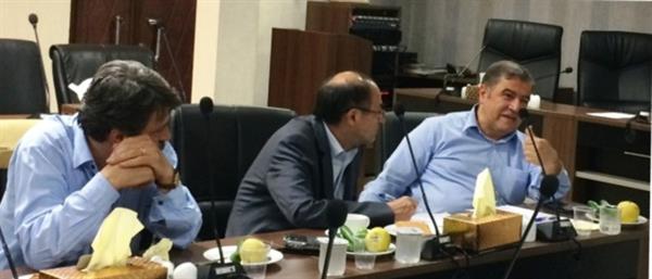 جلسه کمیسیون فرآورده های پارافینی