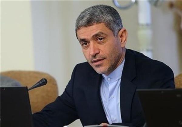 طیب نیا اعلام کرد: اعمال نرخ مالیاتی صفر صادراتی حق دولت را از متواریان می‌گیریم