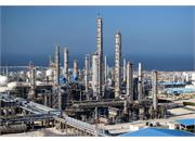 Stability in petrochemical decision-making to be ensured