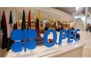 OPEC+ producers reaffirm commitment to market stability, maintain voluntary output curbs