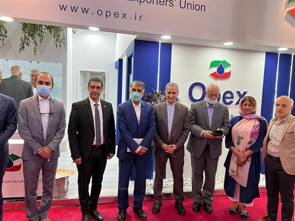 بیست و سومین نمایشگاه نفت گاز و پتروشیمی ایران 3