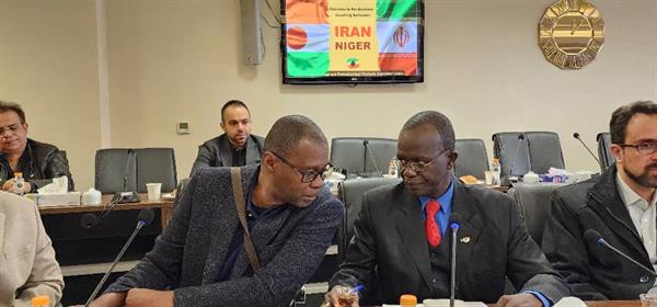 گزارش تصویری از هیئت تجاری از کشور نیجر 1