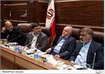 وزیر نفت با اعضای کمیسیون انرژی مجلس دیدار کرد