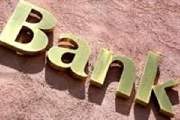 مشارکت بانک خصوصی در احداث پتروشیمی اردبیل