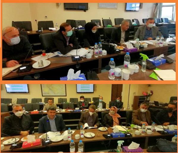 هم گرایی پالایشگاه های روغن سازی و تولیدکنندگان