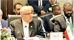 حضور وزیر نفت در مجمع کشورهای صادرکننده گاز