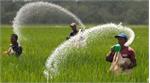 اوره ایران از یونان تا آمریکای لاتین