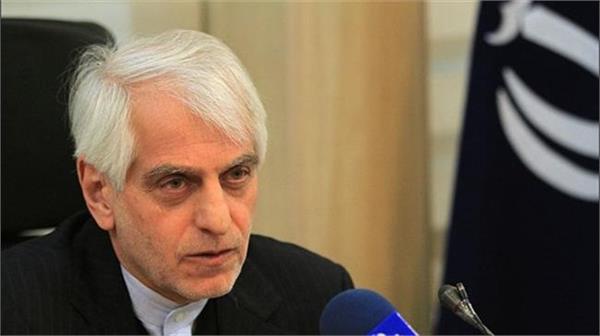 Official: Germany to be a safe partner for Iran