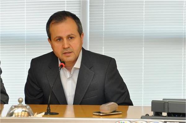 تکذیب خبر مرگ صدف ها در سواحل دیر