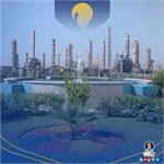 عملکرد اردیبهشت ماه ۱۴۰۴ «نوری»