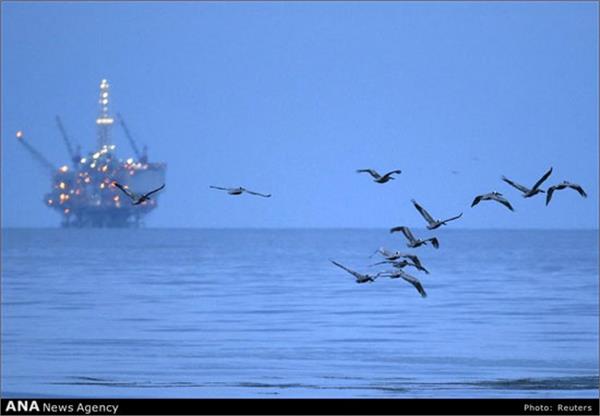 فاجعه زیست محیطی در ساحل کالیفرنیا