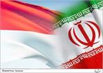 ایران و اندونزی در حوزه پتروشیمی یادداشت تفاهم امضا کردند
