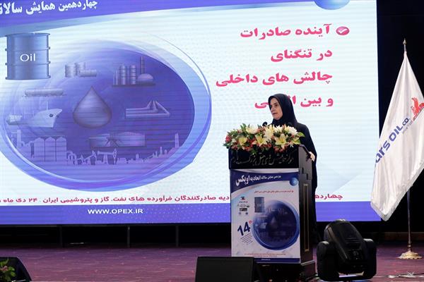 سخنرانی در خصوص نقش و جایگاه دولت در تنظیم گری(رگولاتوری)با نگاه به زنجیره صنعت نفت