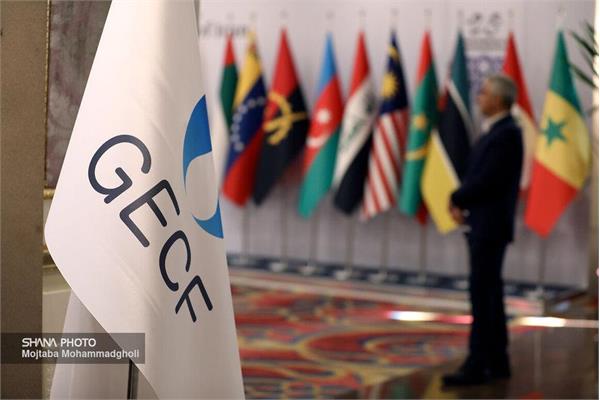 Deputy minister urges bigger global role for gas exporters' forum