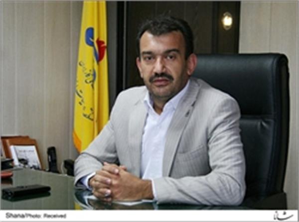 افزایش ٢٠ درصدی حجم انتقال گاز در سال ٩٣