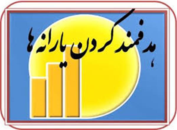 وزیر اقتصاد: هدفمندی یارانه ها ، «هدرمندی» شد