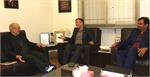 دیدار عضو هیئت مدیره و دبیرکل اتحادیه اوپکس با نعمت زاده مشاور ارشد وزیر نفت