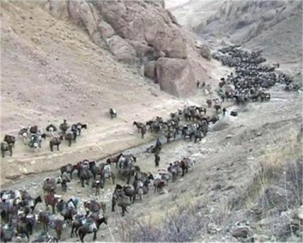 سود باور نکردنی قاچاق سوخت به کشورهای همسایه