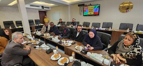 گزارش تصویری از هیئت تجاری از کشور نیجر 8