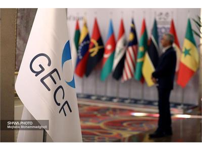 Deputy minister urges bigger global role for gas exporters' forum