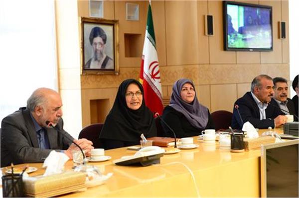 فرآیند سرمایه گذاری در صنعت پتروشیمی تدوین شد
