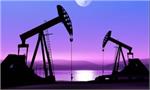 مثل توتال و شل سیاسی نیستیم/ در ایران واحد LNG می‌سازیم