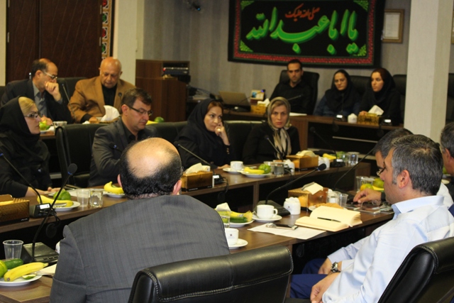 کمیسیون پتروشیمی 3